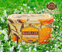 Load image into Gallery viewer, Premium black & green tea with fruit infusions x 20 tea bags in metal caddy