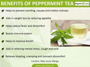 Peppermint Tea Fruit Infusions Caffeine free